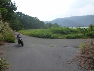 d0240983_10882.jpg