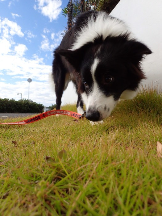 b0204498_23402728.jpeg