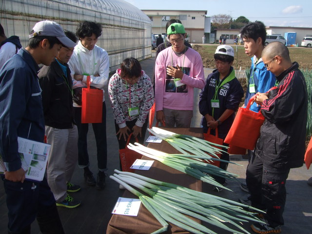 研修会　みかど協和（株）様　袖ヶ浦農場オープンデー参加_e0270198_16245548.jpg