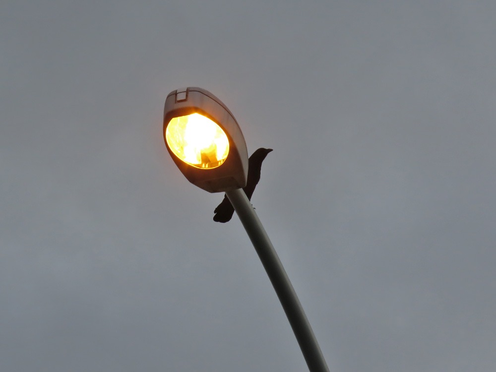 c0049299_22145655.jpg