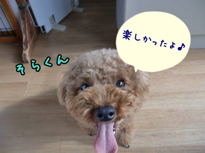 a0338800_10550270.jpg