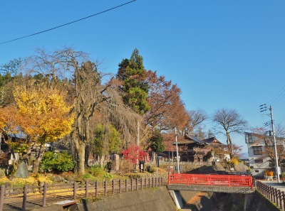 今日は「お知らせ版」の配送でした_c0336902_11243380.jpg