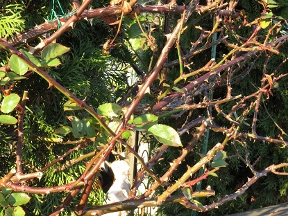 f0325309_17074360.jpg