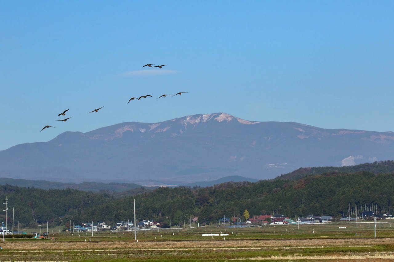 f0349409_15084219.jpg