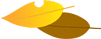 a0197911_23362026.gif
