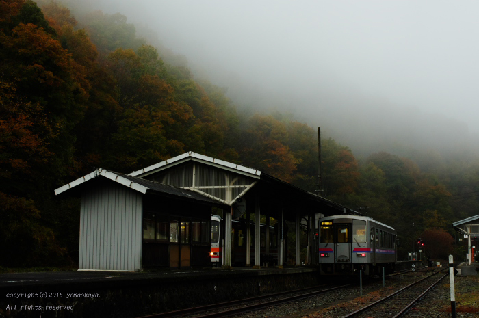 霧の朝に始まる_d0309612_23553035.jpg