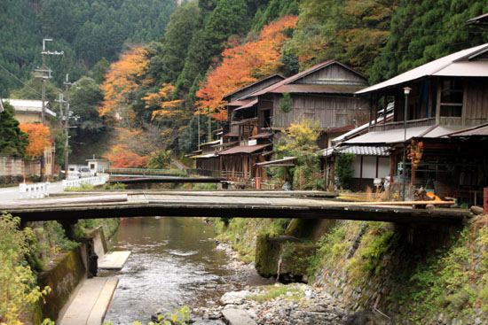 紅葉だより8　中川の里_e0048413_20454966.jpg