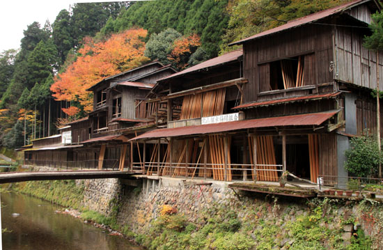 紅葉だより8　中川の里_e0048413_2046475.jpg