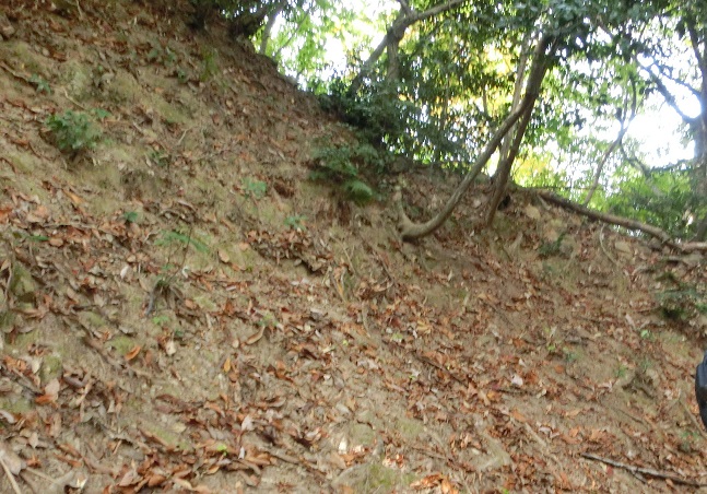 b0181818_20532134.jpg