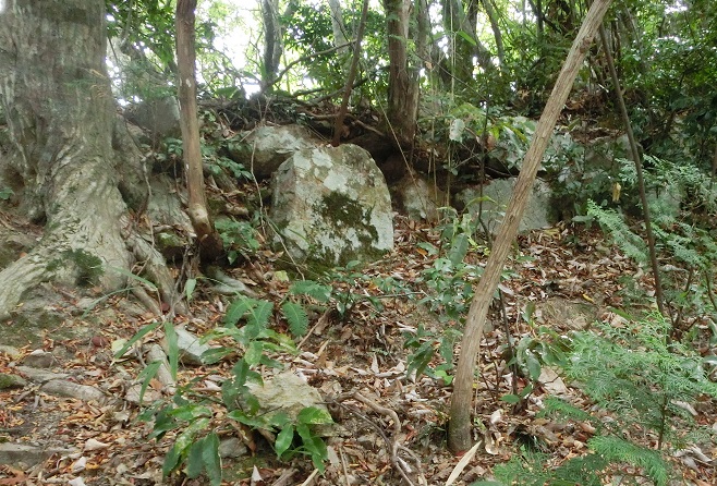 b0181818_2053377.jpg