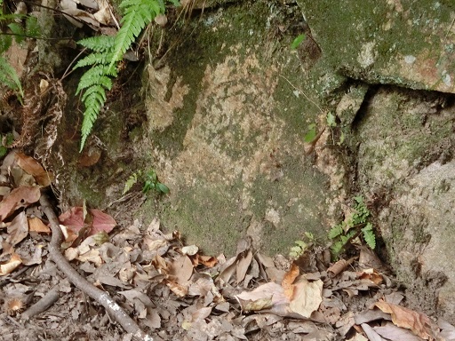 b0181818_2125588.jpg