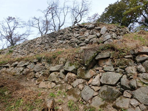 b0181818_2165827.jpg