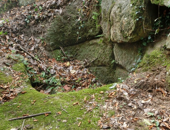 b0181818_2192813.jpg