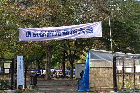a0105819_10335072.jpg