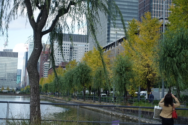 a0105819_10493768.jpg