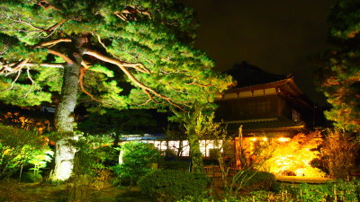 秋夜の北方文化博物館ライトアップ_e0135219_09192534.jpg
