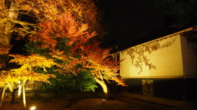 秋夜の北方文化博物館ライトアップ_e0135219_09211629.jpg