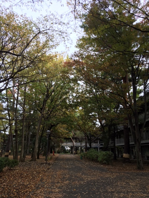 c0038722_15261944.jpg