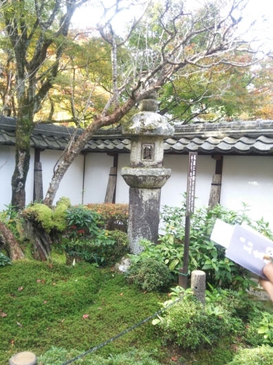 f0183722_20335193.jpg