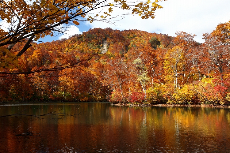 鎌池の紅葉　３_e0303527_0203354.jpg