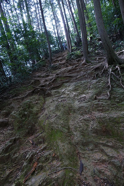 越生の里山・大高取山へ　その５_c0196928_7214226.jpg