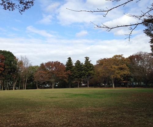 かつらぎ公園_b0100229_13384477.jpg