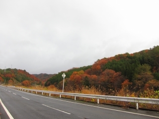 d0336530_09001543.jpg