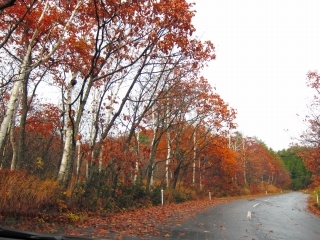 d0336530_09004310.jpg