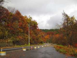 d0336530_09010119.jpg