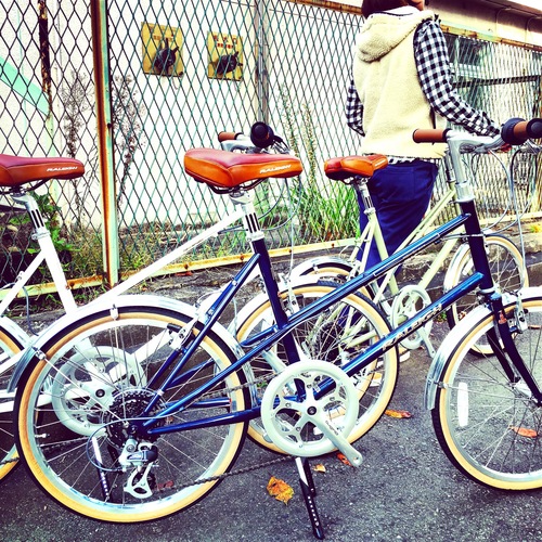 2016 RALEIGH RSM RSW Sport Mixte ラレー ミニベロ ミキスト おしゃれ
