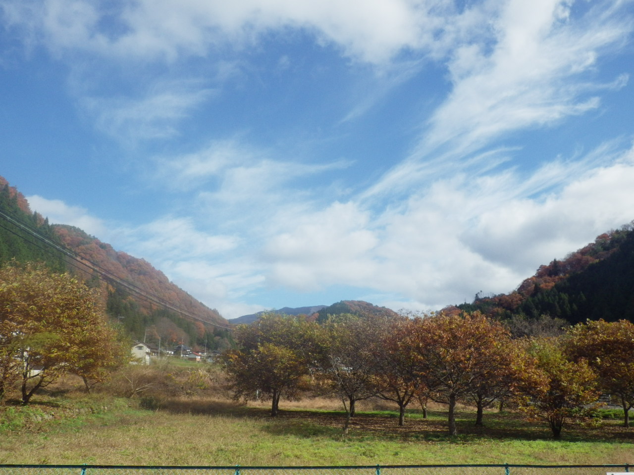 c0300035_9321569.jpg