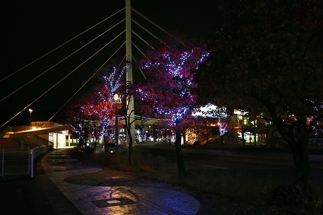 a0242438_20121569.jpg