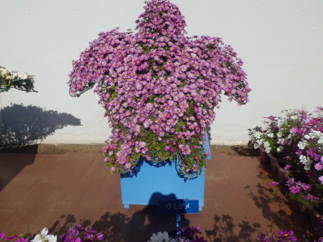 f0031546_2051167.jpg