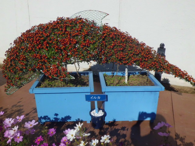 f0031546_2059223.jpg