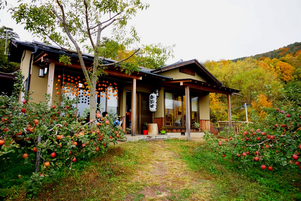 pungent(長野県坂城町　「かいぜ」で　”おしぼりうどん”　）_e0223456_10411118.jpg