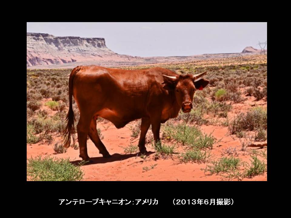 a0261857_16131621.jpg