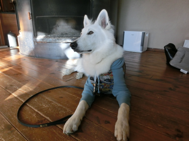 c0140260_03246.jpg