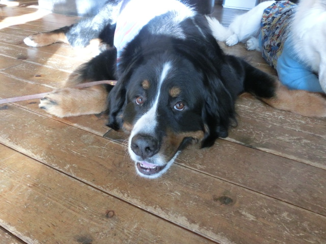 c0140260_05583.jpg
