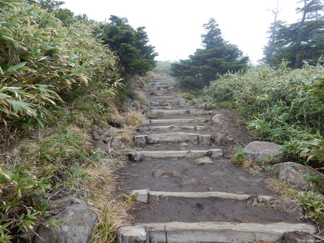’15,11,14(土)東北旅⑧八甲田~東京!_f0060461_22185629.jpg