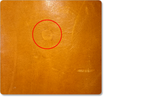 f0307067_11224527.png
