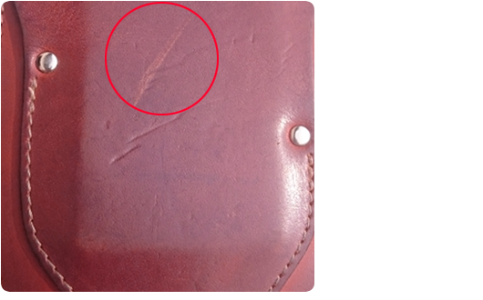 f0307067_17424686.png