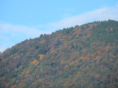 深まる秋、山が色づきはじめた_e0175370_8525012.jpg