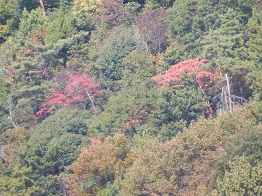 深まる秋、山が色づきはじめた_e0175370_85279.jpg