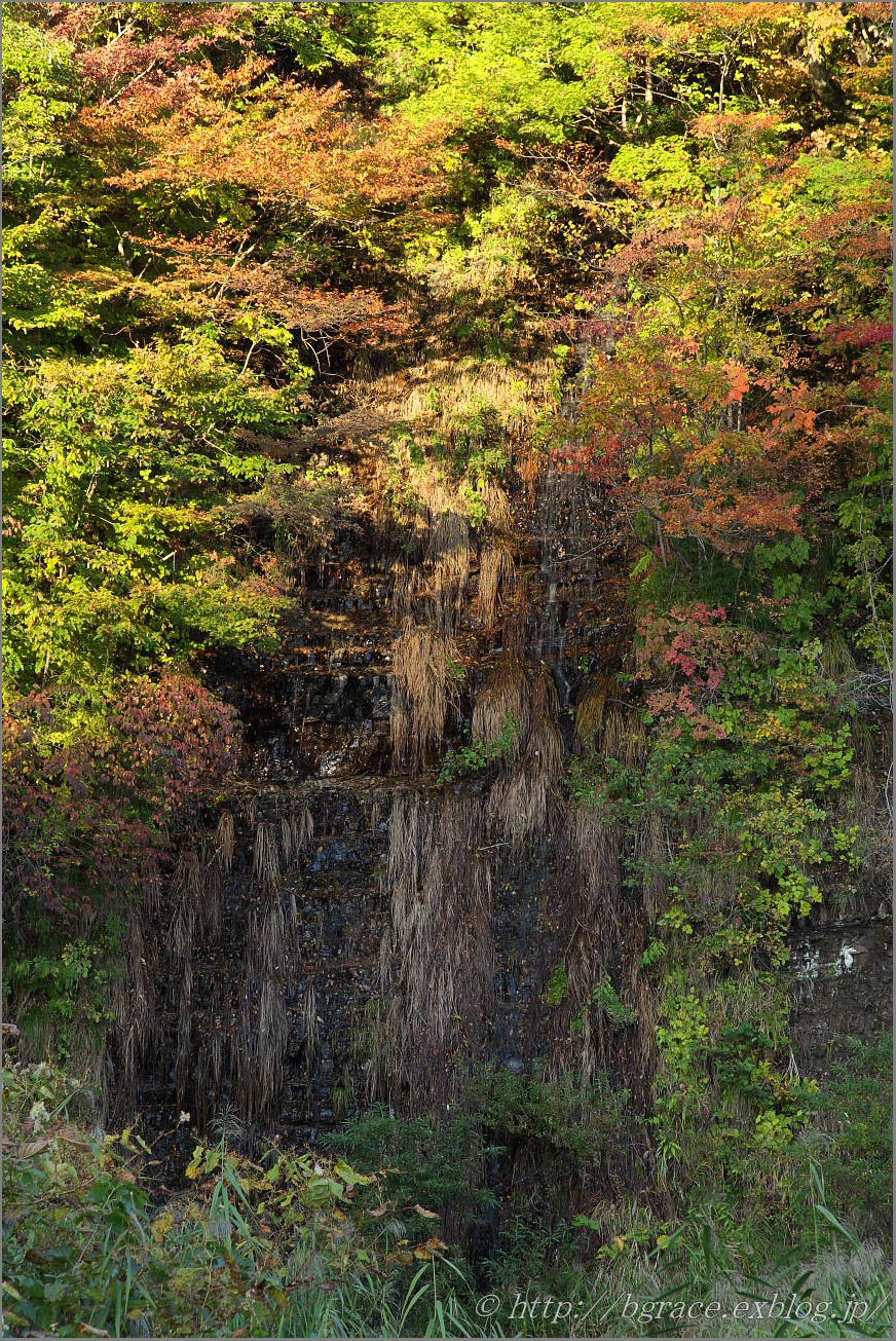 老不知の滝_b0191074_23262359.jpg