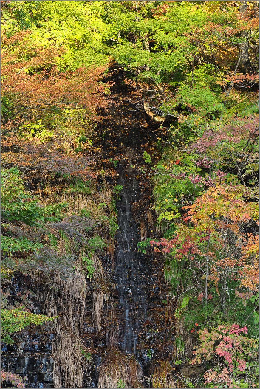 老不知の滝_b0191074_2326315.jpg