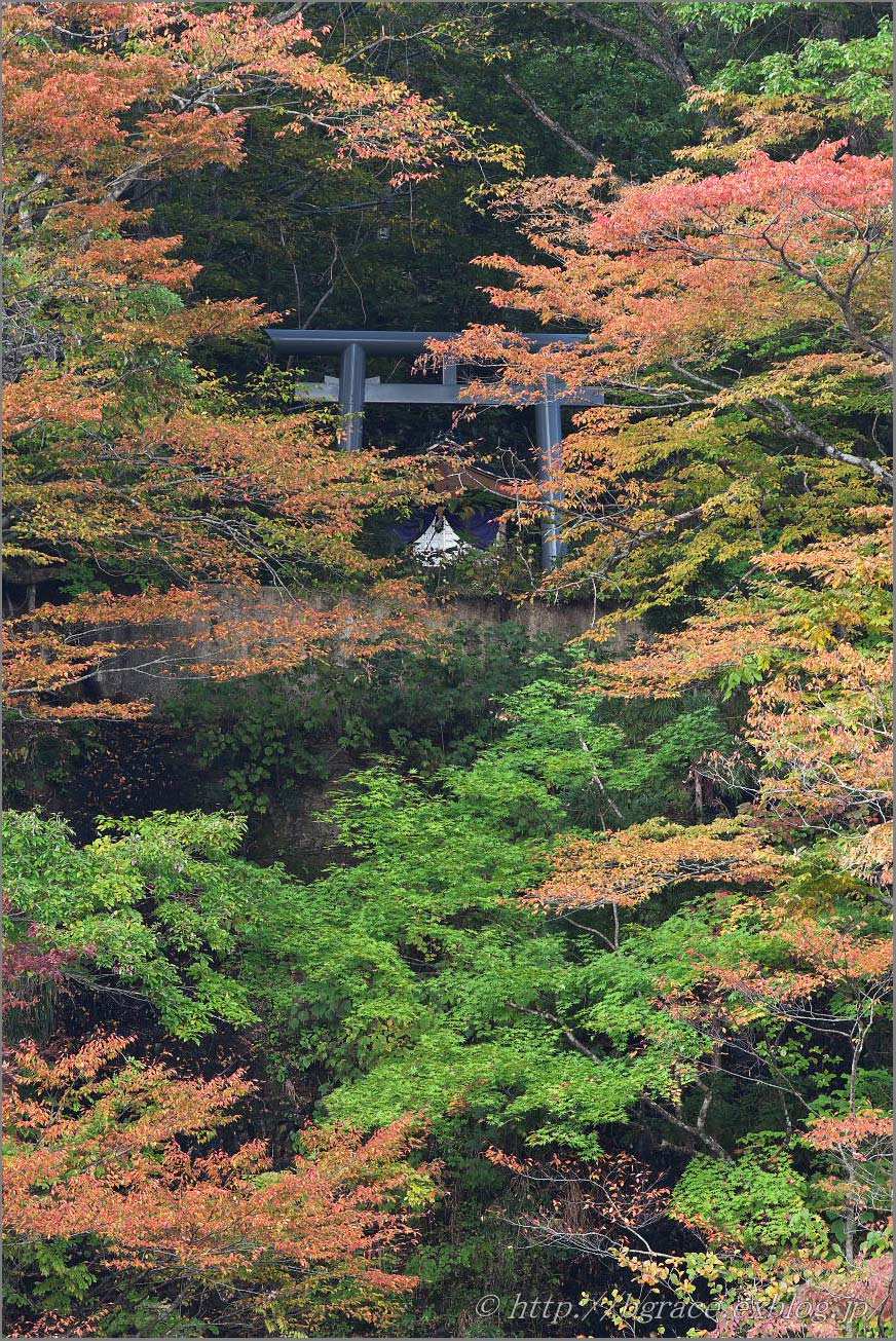 老不知の滝_b0191074_23264524.jpg
