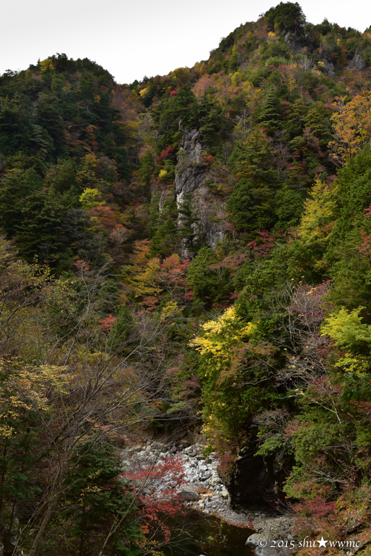 a0142976_15442613.jpg