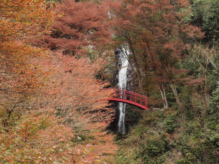 『五宝滝の紅葉風景』_d0054276_20282648.jpg