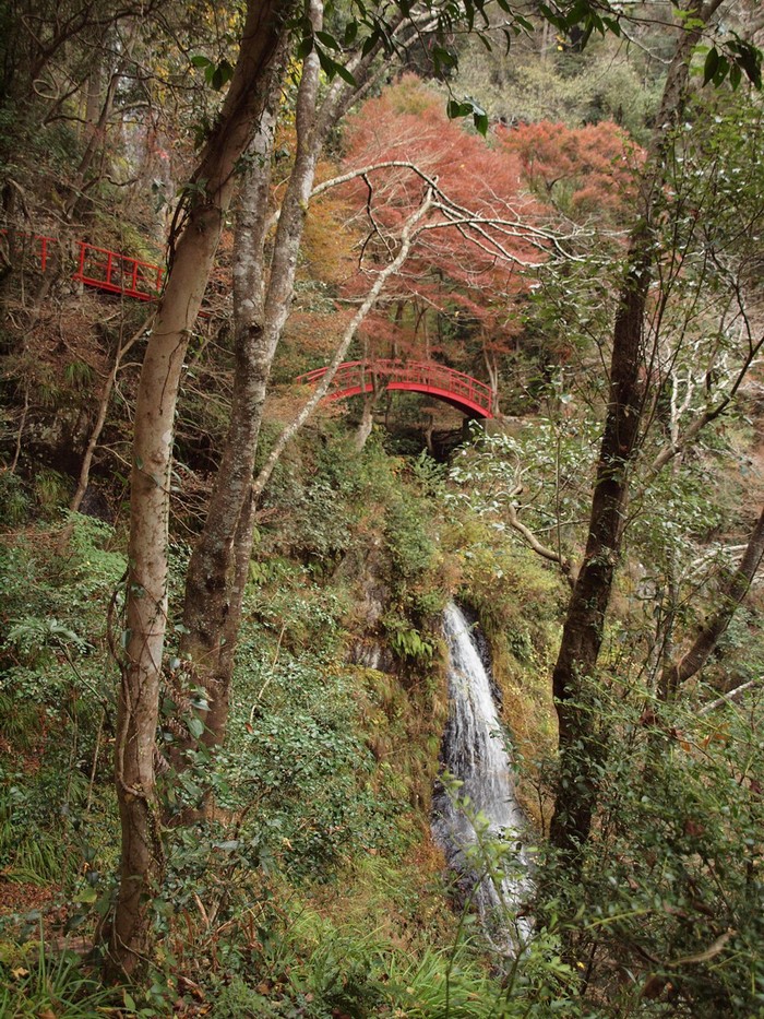 『五宝滝の紅葉風景』_d0054276_20332168.jpg