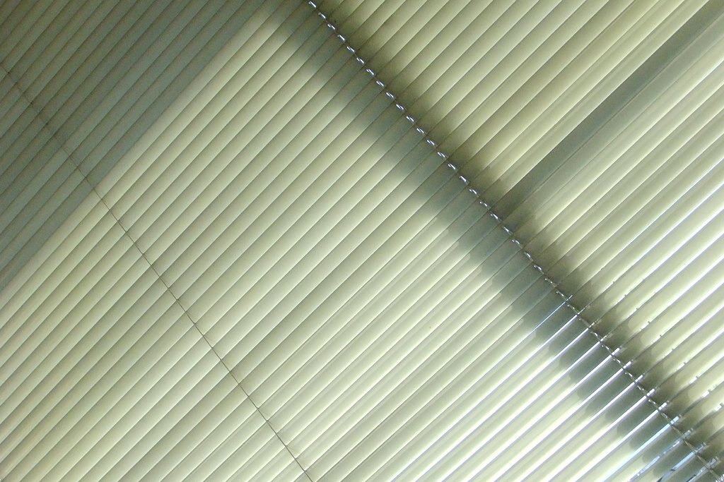 e0149577_2334471.jpg